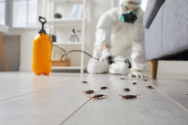 Post-Treatment Bed Bug Interceptor Monitoring in Pocono Woodland Lakes