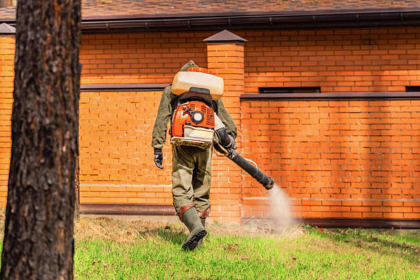 Bed Bug Clearance Verification and Documentation in Pocono Woodland Lakes